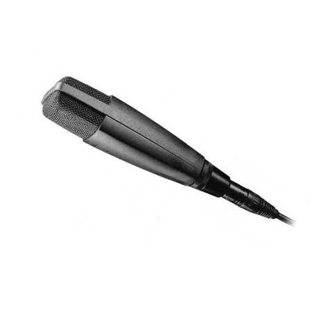 Sennheiser MD 421 II - dinaminis studijinis mikrofonas (kardioidinis)