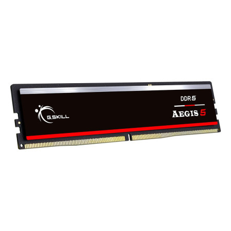 G.Skill Aegis F5-6000J3636F16GX1-IS atminties modulis 16 GB DDR5