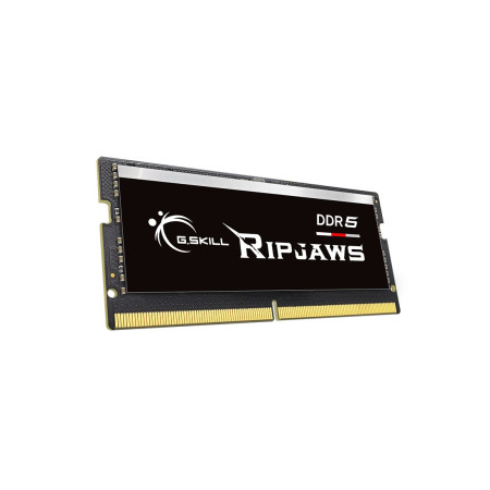 G.Skill Ripjaws DDR5 5600 MT/s atminties modulis 64 GB
