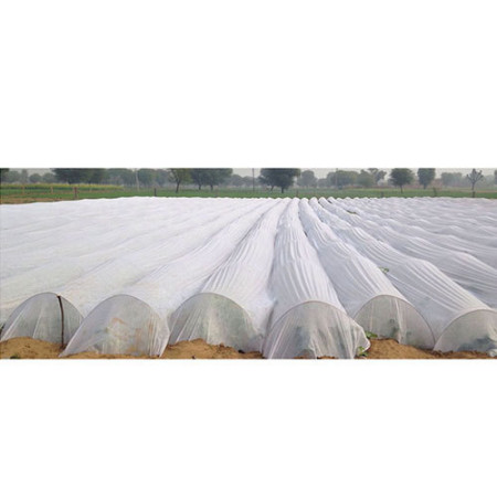 Agrodanga 21 gr. balta 3.2 m pločio