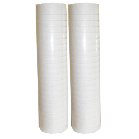 Filtru kasetė FJP10B 1 mikronas