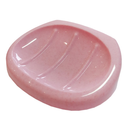 Plastikinė muilinė