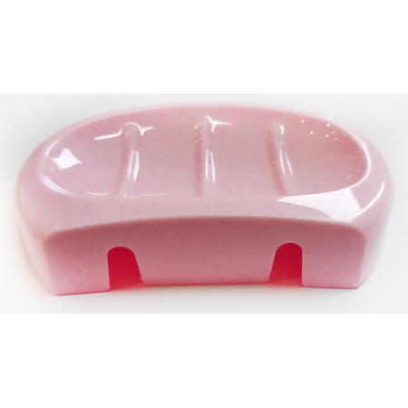 Plastikinė muilinė