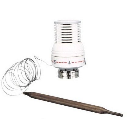 Termostatinė galva su kapiliaru 655