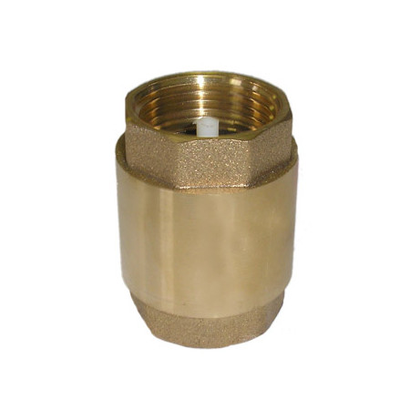 Atbulinis vožtuvas 252 F1