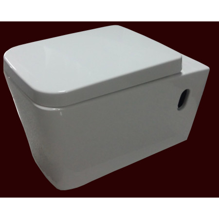 Pakabinamas klozetas 2003E