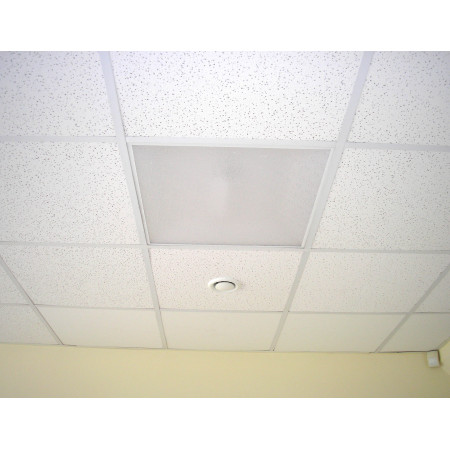 Lubų plokštė 600x600x12