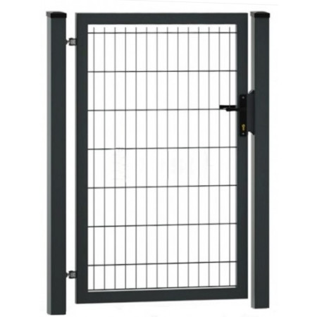 Varteliai su dviems stulpais 1530x1000 mm (Ral7016)