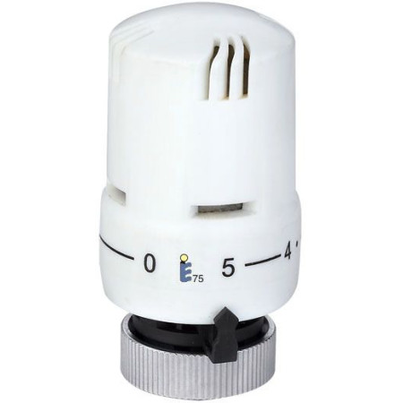 Galva termostatinė 303