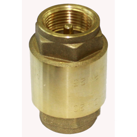 Vožtuvas atbulinis V. d40 EUROPA