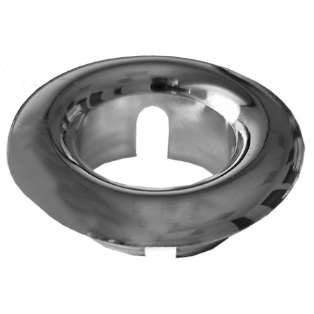 Apdaila praustuvui sidabrinė