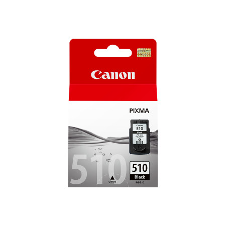Canon 2970B001 Originalus Foto juoda rašalo kasetė 1 vnt