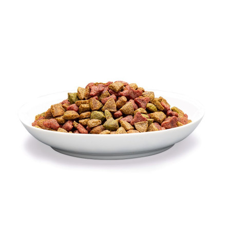 PREVITAL Senjorų Lašiša - sausas kačių maistas - 1,4 kg