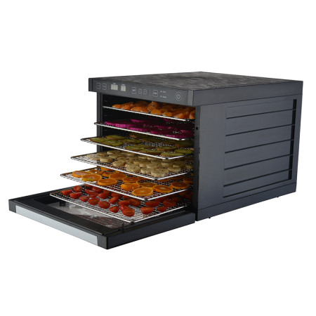 Vaisių džiovyklė, ZY100FD