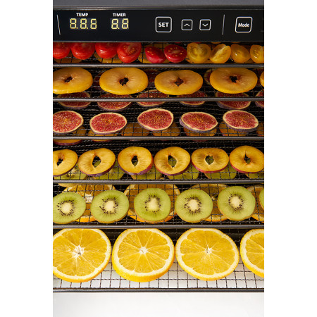 Vaisių džiovyklė, ZY100FD