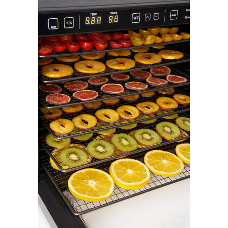 Vaisių džiovyklė, ZY100FD