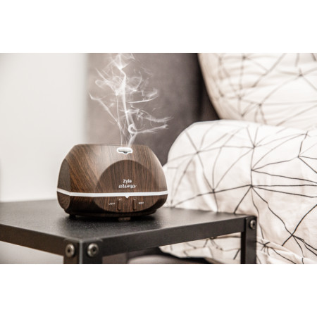 Kvapų difuzorius ZY02DW