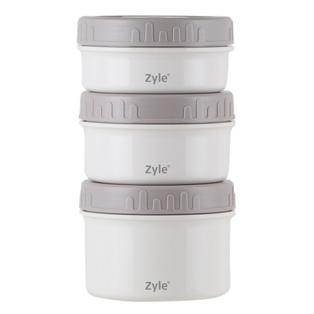 Maistinis termosas, ZY2500FT