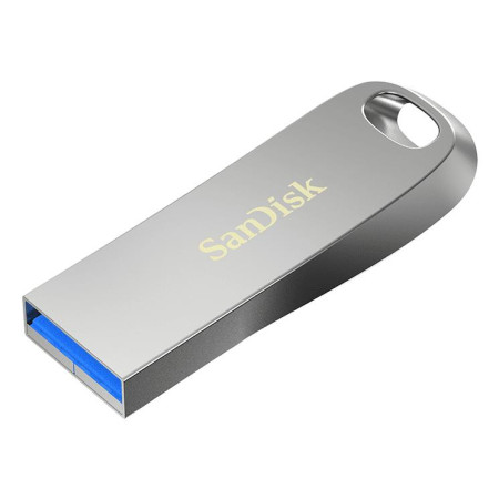 USB 3.1 Flash atmintinė 256GB