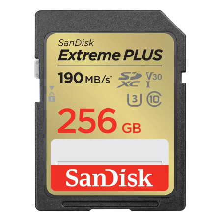 SanDisk 256GB SDXC UHS-1 Atminties Kortelė