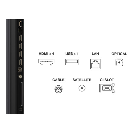 TCL Q6C 65Q6C televizorius 165,1 cm (65") 4K Ultra HD Smart TV