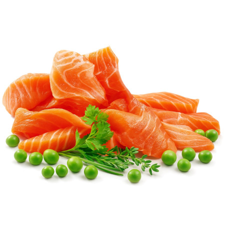 SHELMA Sterilizuotas lašišos - sausas kačių maistas - 1,4kg