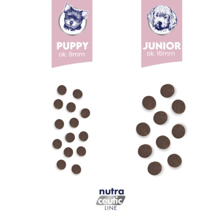 BALTICA NUTRACEUTIC Hipoalerginis Junior Aviena ir Ryžiai L / XL - 12kg