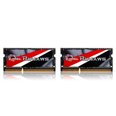 16GB DDR3-1600 atminties modulis