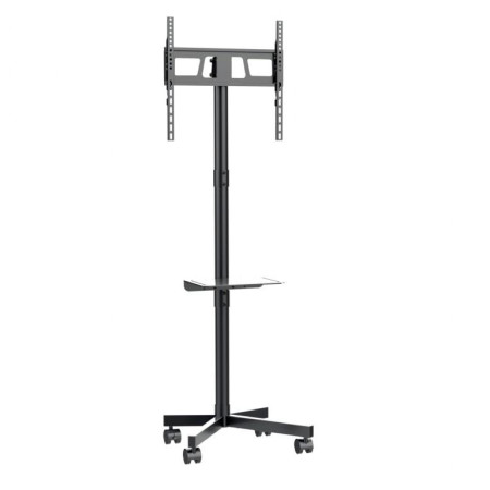TV SET ACC FLOOR STAND 32-55"/TVS-55T-03 GEMBIRD