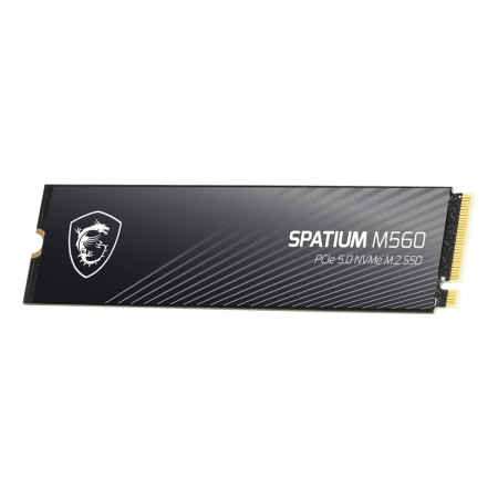 MSI Spatium M560 2 TB NVME M.2 SSD