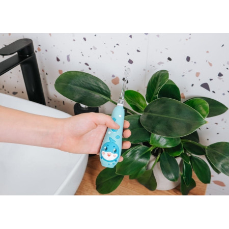 Szczoteczka soniczna niebieska ZK3020 CONCEPT