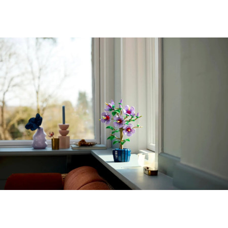 LEGO Botanical Collection 10372 Hibiskas