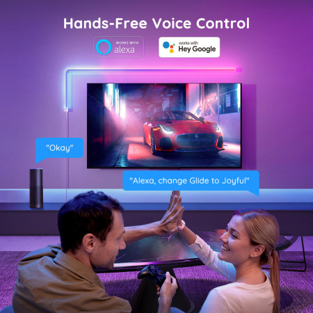 Govee H6062 Glide Wall LED paneliai RGBIC