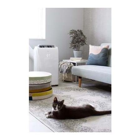 Oro kondicionierius Qlima P 534