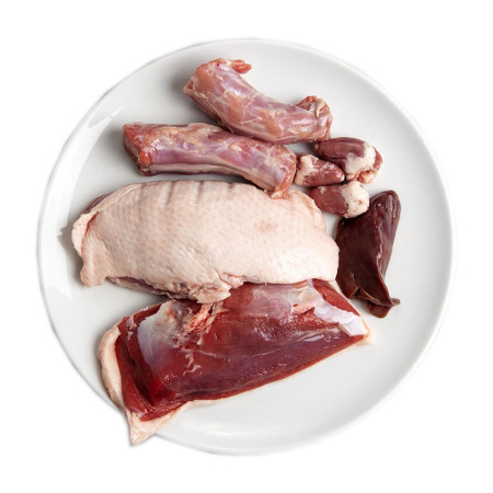 3COTY 180. Antiena - Šlapias Kačių Maistas - 180g