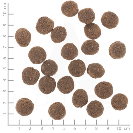 WOLFSBLUT VetLine Hipoalerginis Arklys - sausas maistas šunims - 12kg