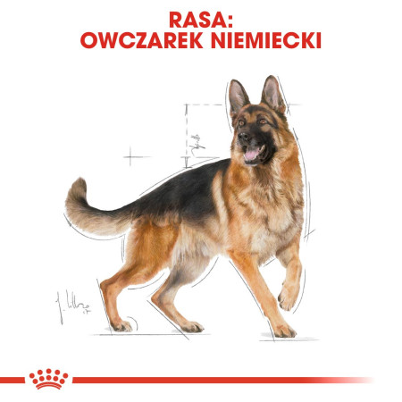 Royal Canin Vokiečių aviganis 11kg