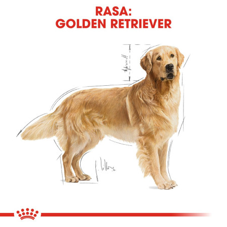 Royal Canin BHN Golden Retriever - sausa karma suaugusiems šunims - 12kg