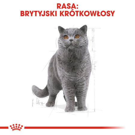 Royal Canin Karma Royal Canin FBN British Shorthair (4 kg)