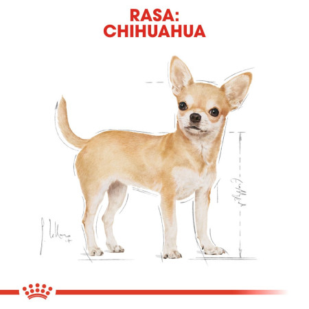 ROYAL CANIN Chihuahua - 12x85g