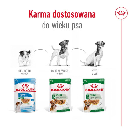 Royal Canin Mini Ageing 12+ - šlapia maistas senyviems šunims - 12x85g