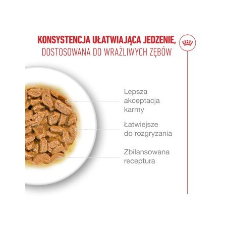 ROYAL CANIN Senjorams 15+ Gabaliukai padaže - šlapias kačių maistas - 12x85 g