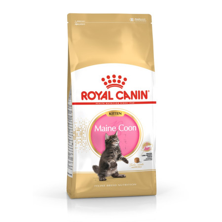 ROYAL CANIN Maine Coon FBN Kitten - sausas kačių maistas - 400g