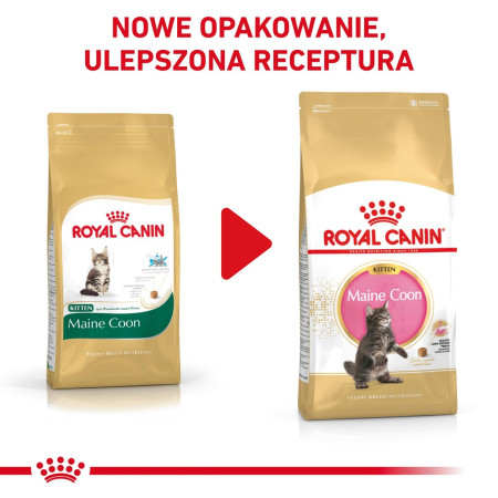 ROYAL CANIN Maine Coon FBN Kitten - sausas kačių maistas - 400g