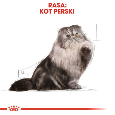 ROYAL CANIN Persian - sausas kačių maistas - 4kg