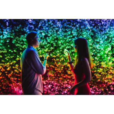 Twinkly girliandos 250L 4,3mm RGB