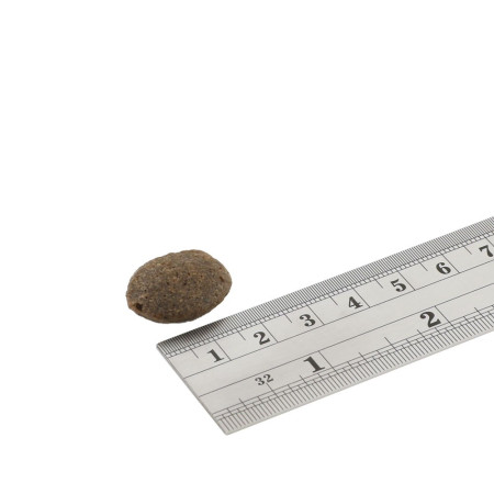 FISH4DOGS Finest Lašiša Suaugusiems - 12 kg