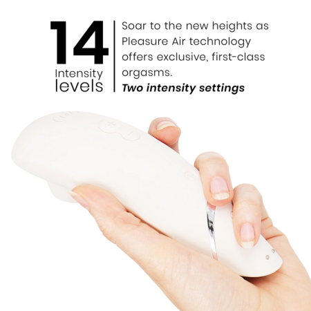 Womanizer Premium 2 Warm Gray - Air Technology Intimate Device, 14 Modes