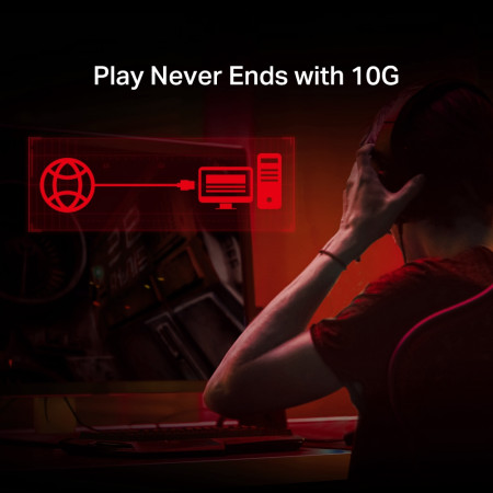 TP-Link 10Gbps PCIe tinklo adapteris