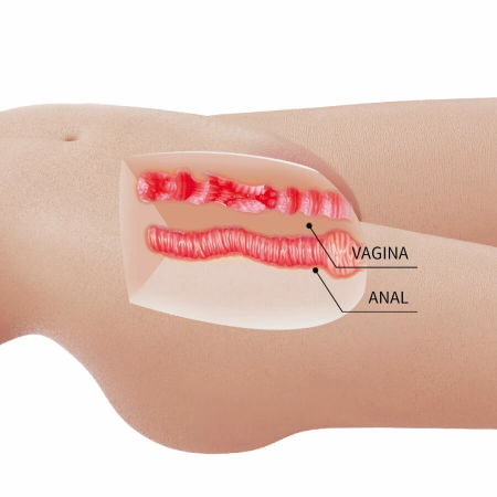 CRAZY BULL Mia Anatomical Female Torso 8.5kg Premium TPR, Dual System